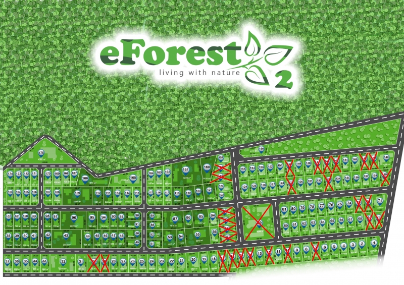 eForest 2, loturi de casa la liziera padurii, in Crevedia